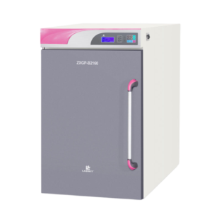 ZXGP-B2160
